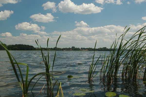 Dsc 2613 Spływ rzeczka Ełk