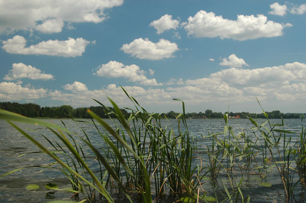 Dsc 2615 Spływ rzeczka Ełk