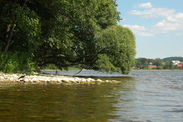 Dsc 2616 Spływ rzeczka Ełk