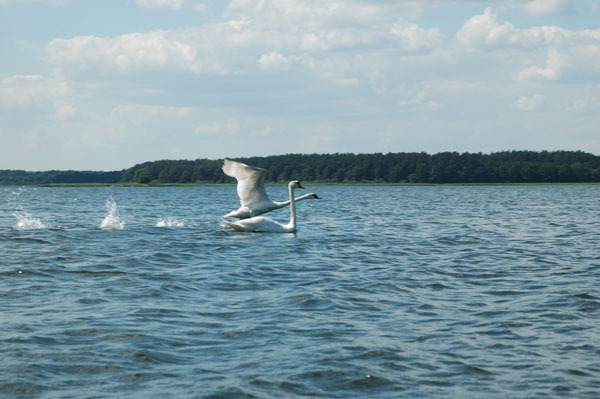 Dsc 2618 Spływ rzeczka Ełk