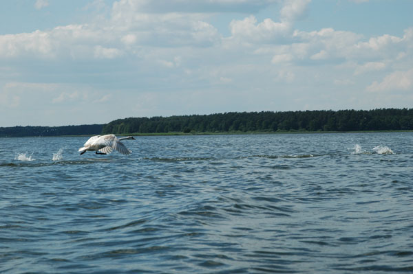 Dsc 2621 Spływ rzeczka Ełk