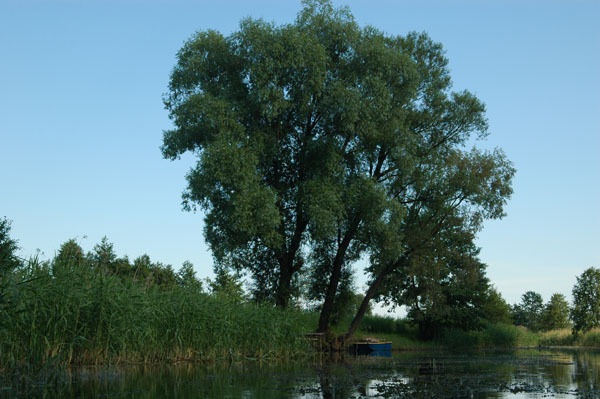 Dsc 2639 Spływ rzeczka Ełk