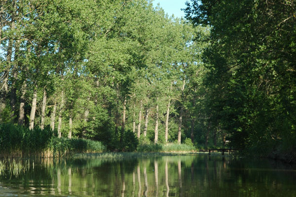 Dsc 2648 Spływ rzeczka Ełk