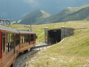 Dsc 9551