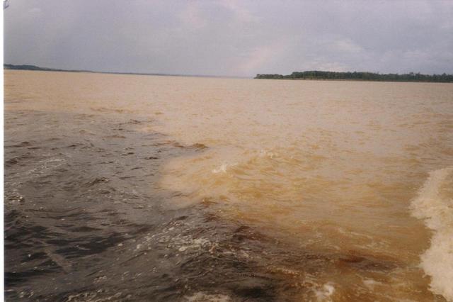 11345 - Brazylia Co i jak w Brazyliskich klimatach piszczy