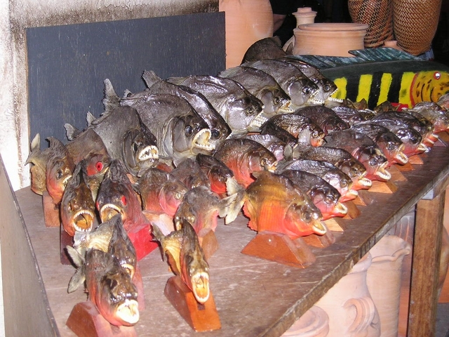 Manaus, piranie na targu