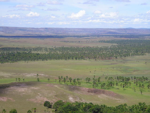 Wenezuela, Niziny gran sabana