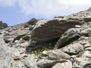 Sierra Nevada