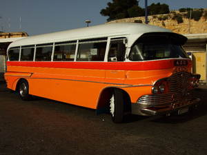 Maltańskie autobusy