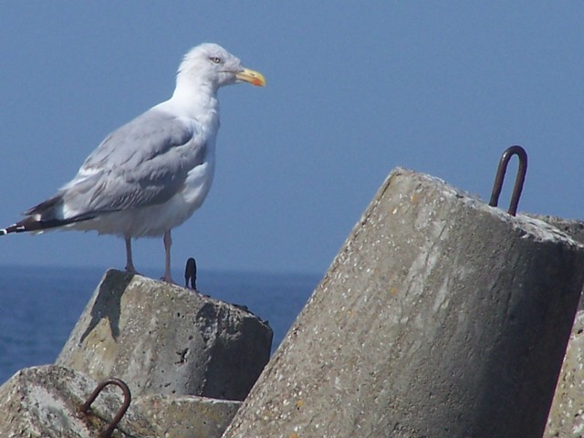 Ustka