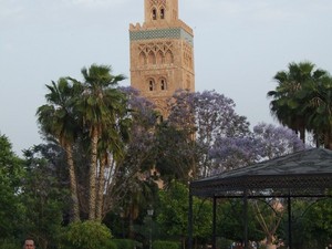 Marrakesz