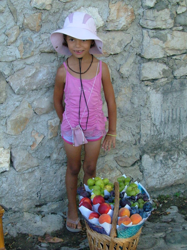 Pocitelj