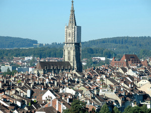 Berno 60