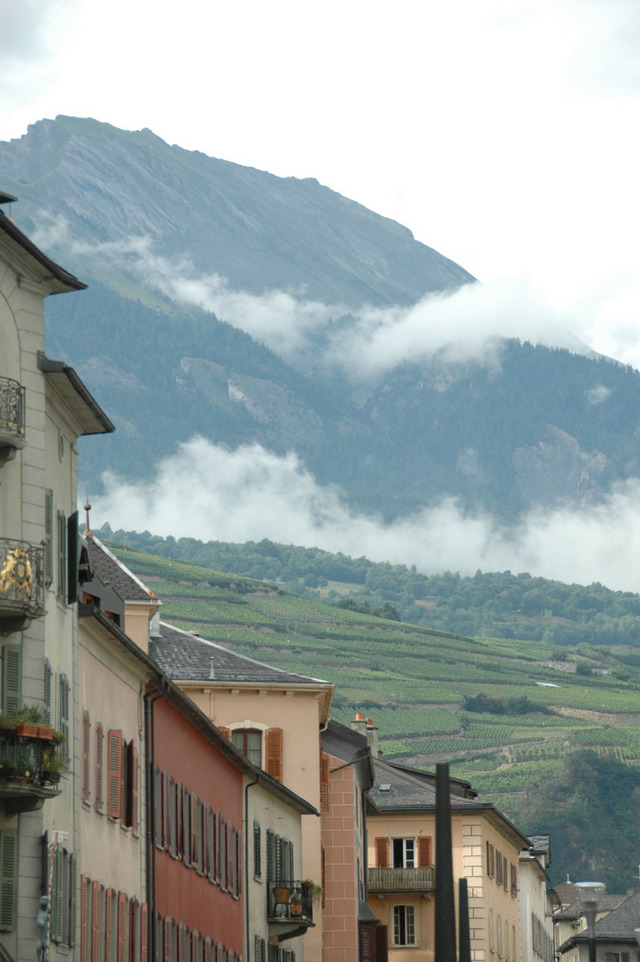 Sion Dsc 0293