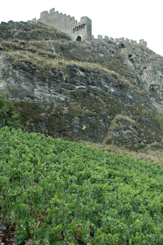 Sion Dsc 0353