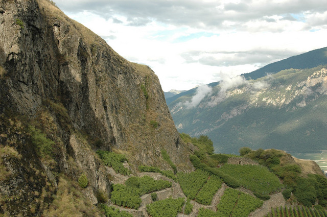 Sion Dsc 0358