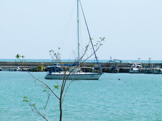 Kavarna - port obok plaży