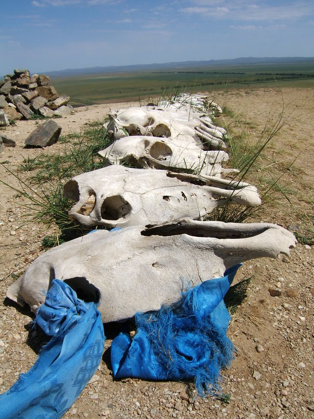 Karakorum, Mongolia 2008