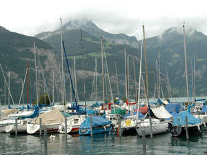 Dsc 0924