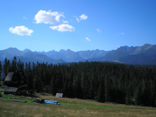 P82100631