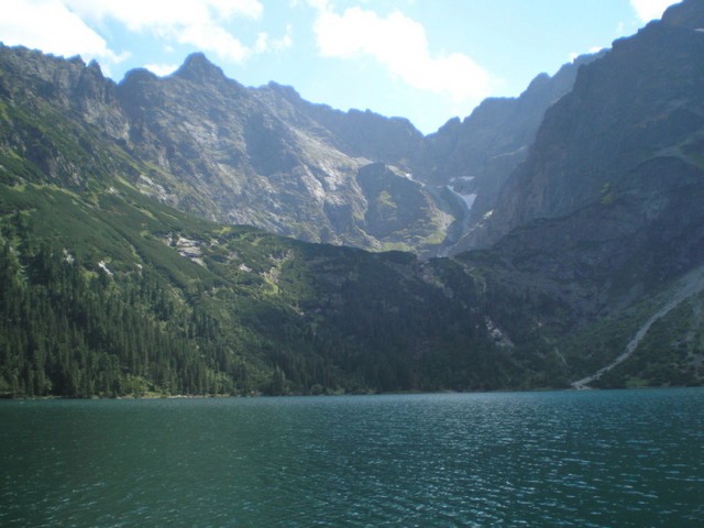 P821014511