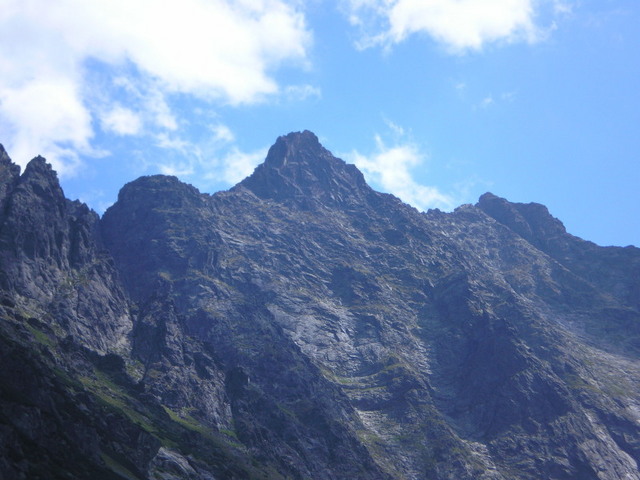 P82101541