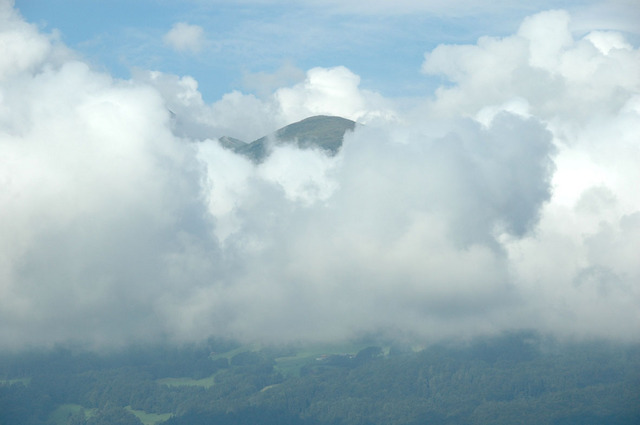 Dsc 1295
