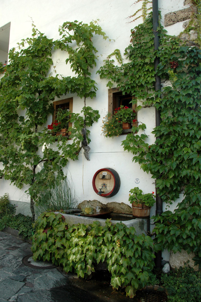 Dsc 1346