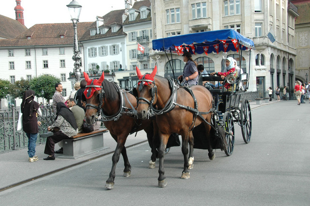 Dsc 1168
