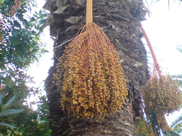Dsc00180
