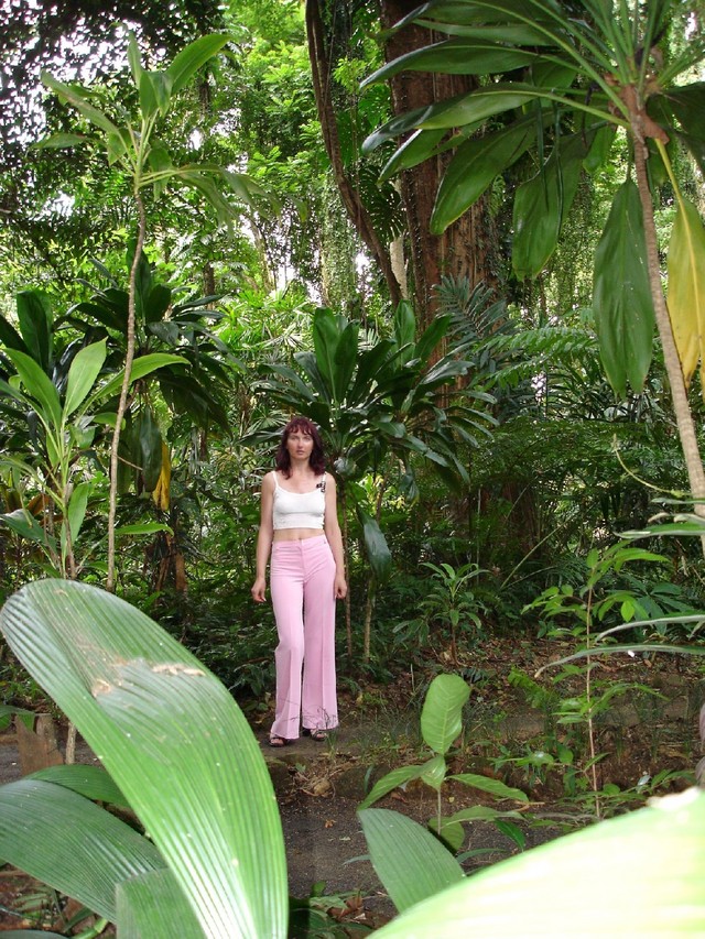 Dsc00449
