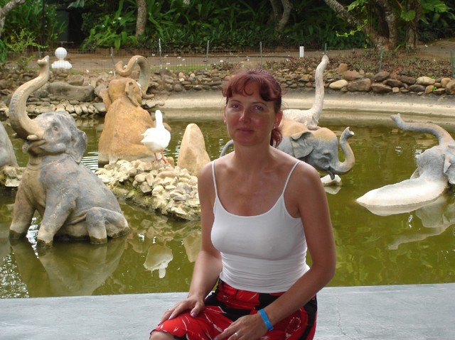 Dsc00941