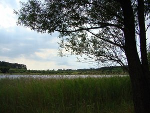 Dsc06334