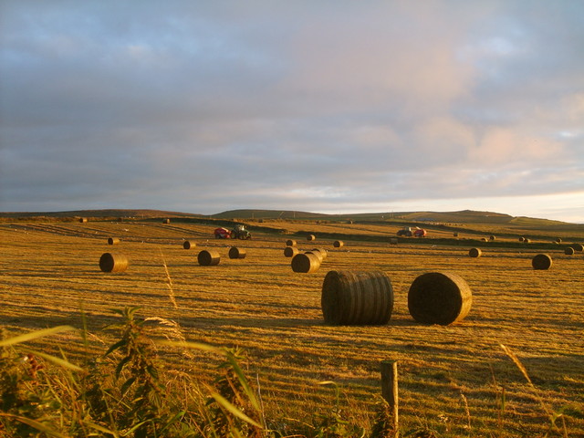 Irlandzki krajobraz