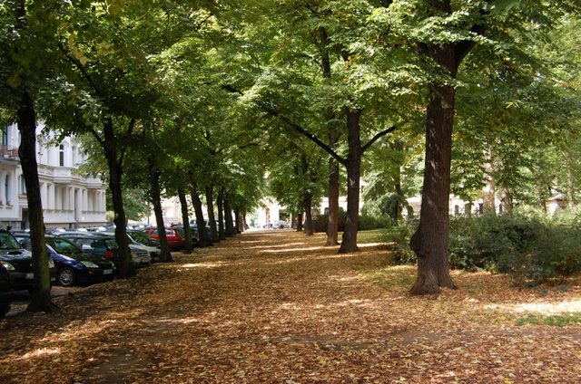 Park niedaleko Karli i Eisner St. 