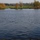 Narew