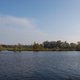 Narew
