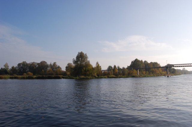 Narew