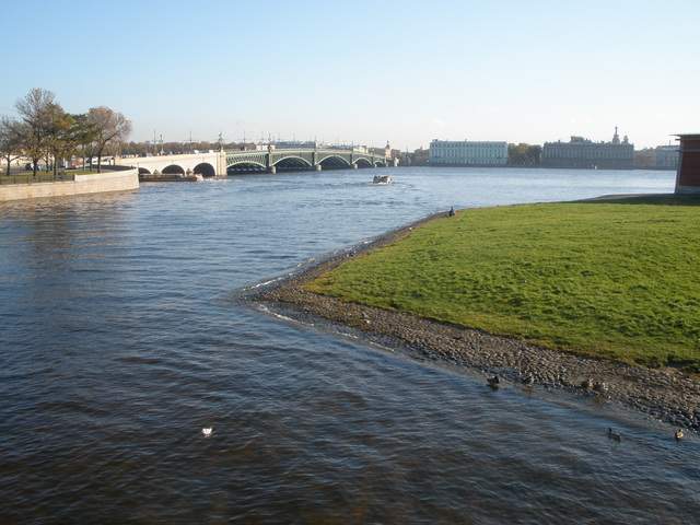 nad newą