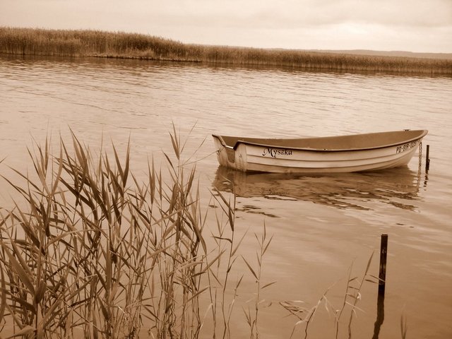 Widok na Śniardwy
