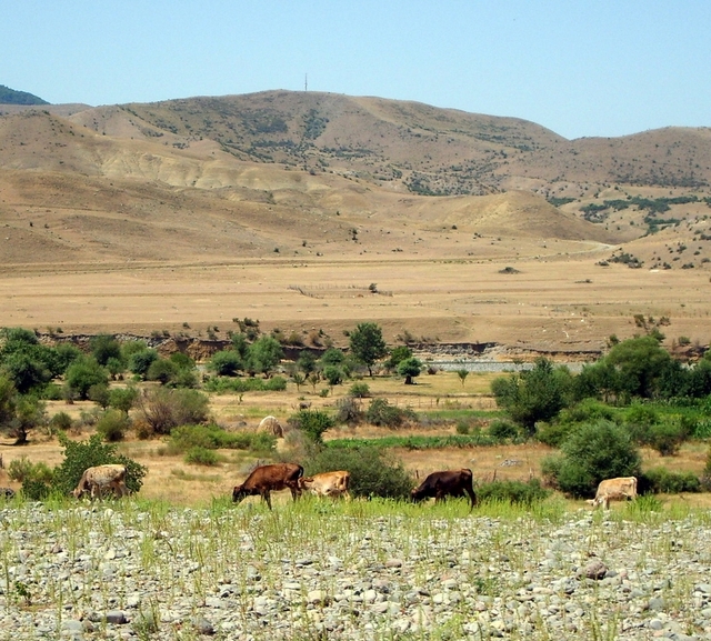 gruzja