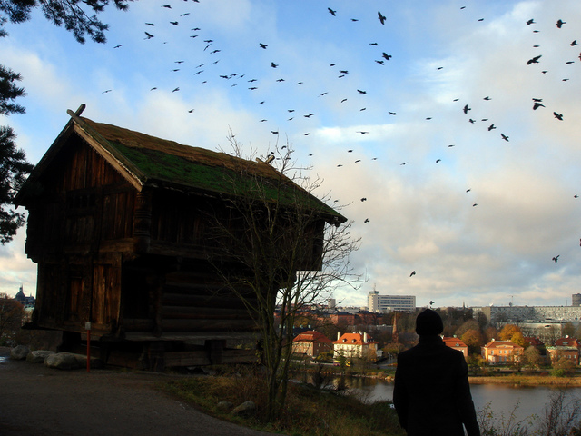 Skansen w Sztokholmie