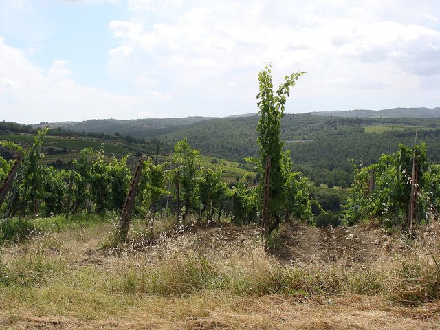 Okolice Barberino