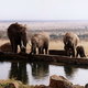 Kenia, Voi Safari Lodge