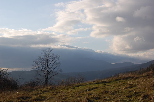 Górki