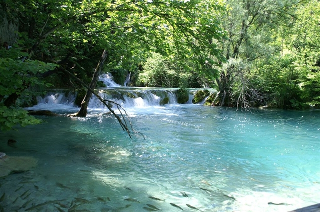 Plitwice