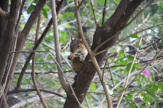 Pict0244