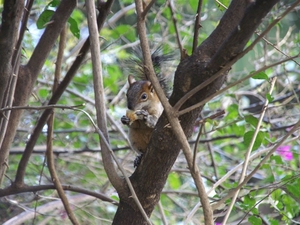 Pict0244