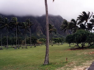 Hawaje