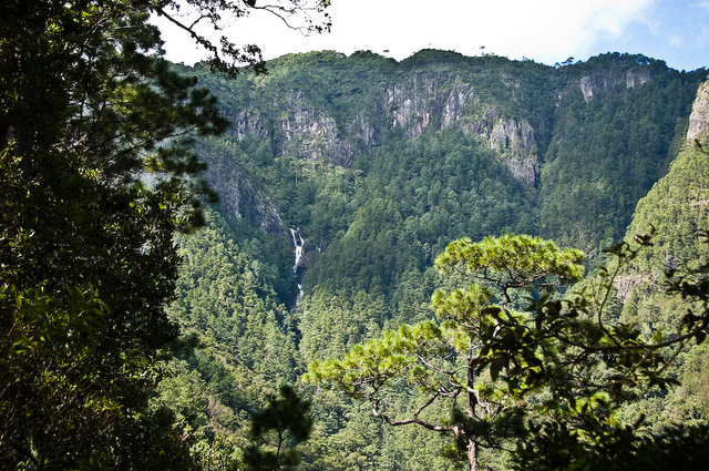 Park narodowy Celaque